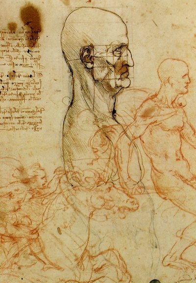 Studie van een mannenhoofd door Leonardo da Vinci